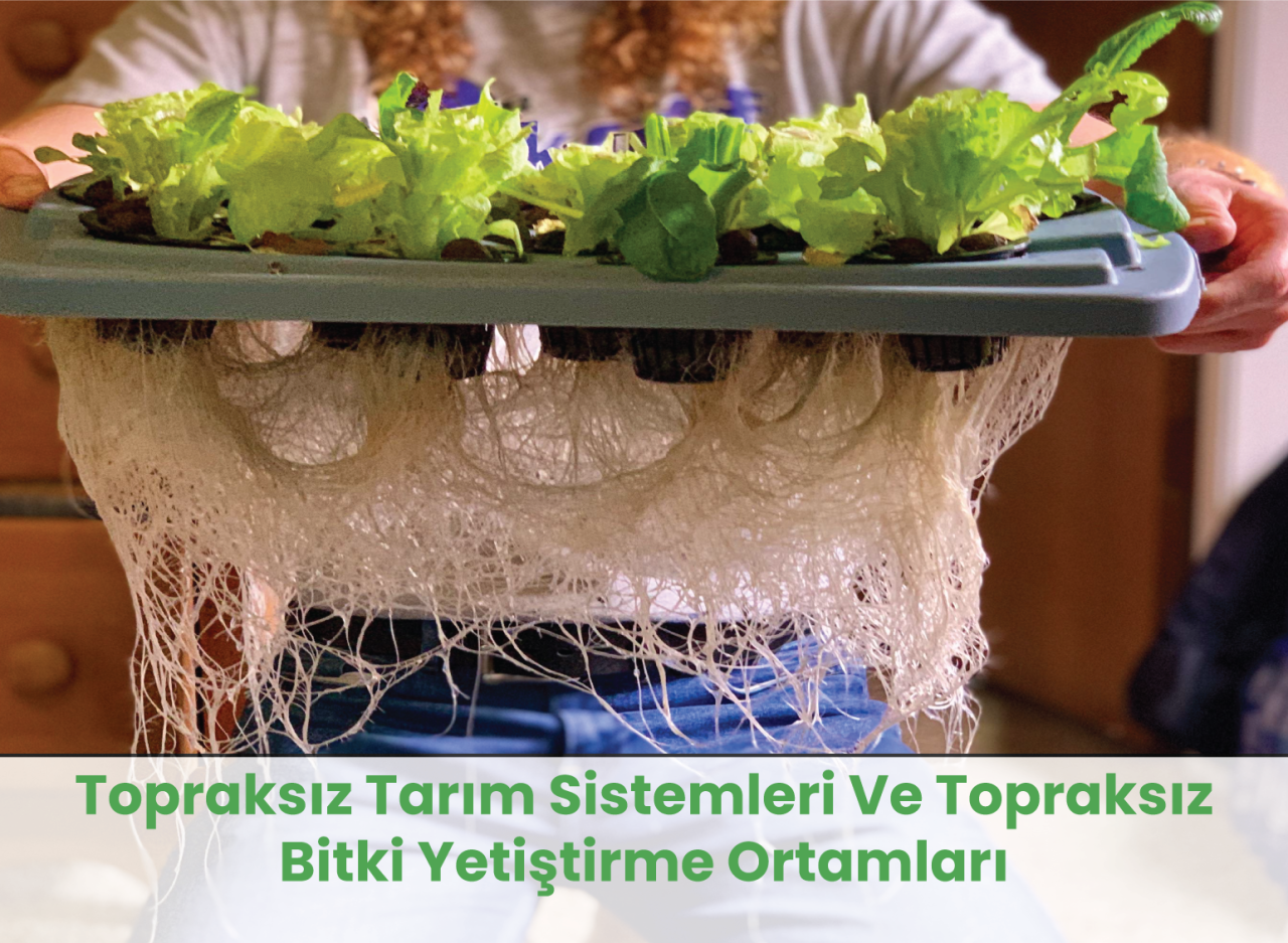 Topraksız Tarım