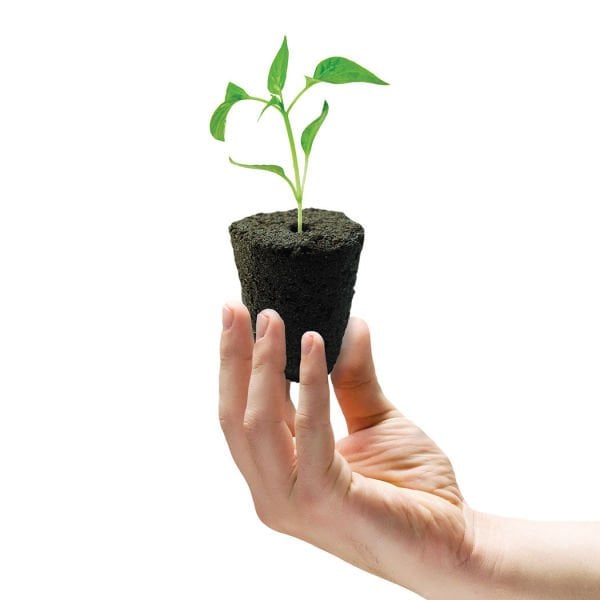 Root Riot Köklendirme Küpü - 1 Adet (Tohum ve Çelik İçin)