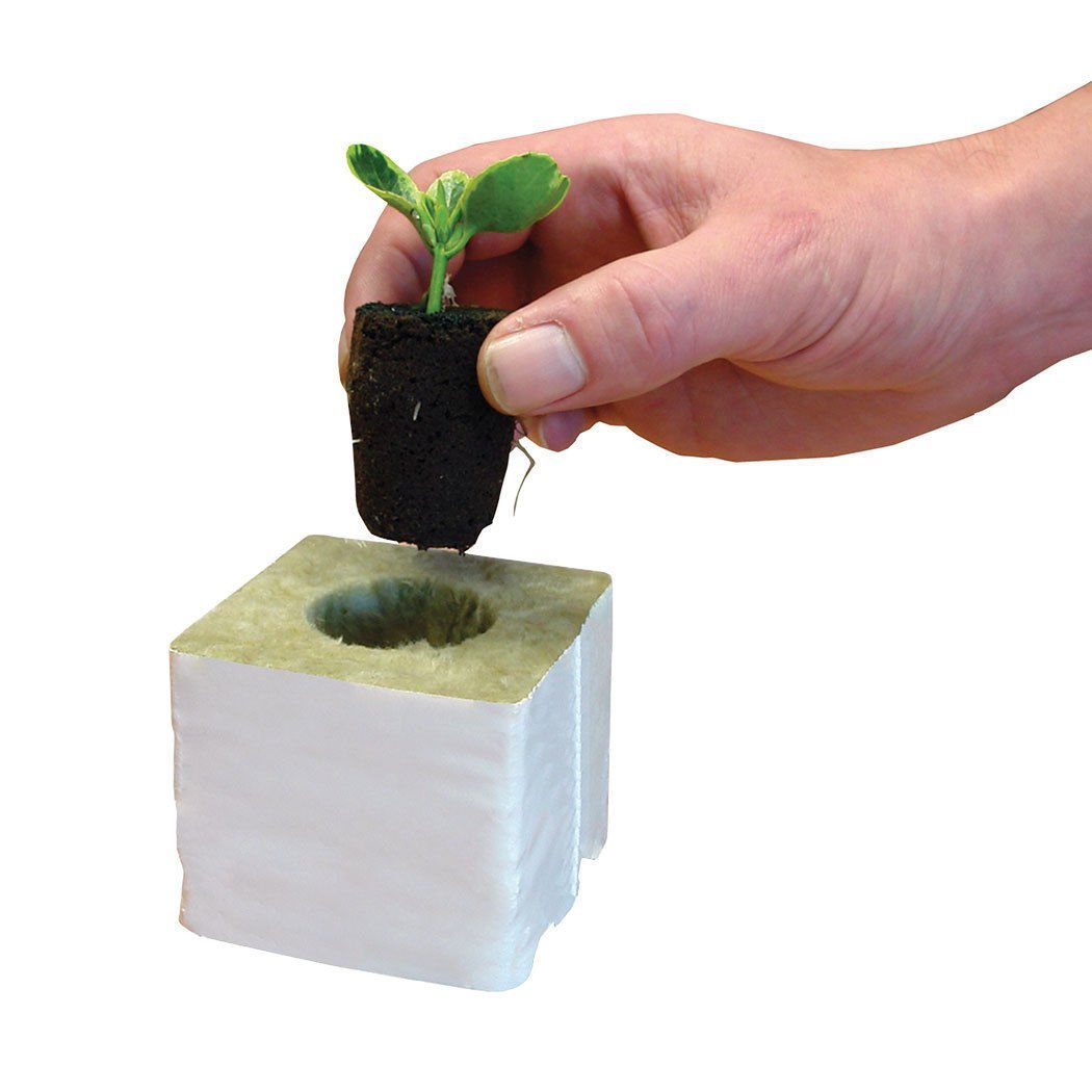 Root Riot Köklendirme Küpü - 1 Adet (Tohum ve Çelik İçin)