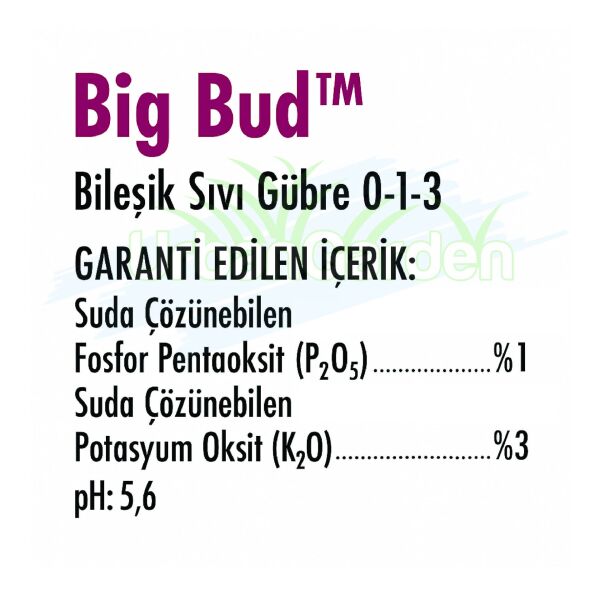 Advanced Nutrients Big Bud 20 Litre