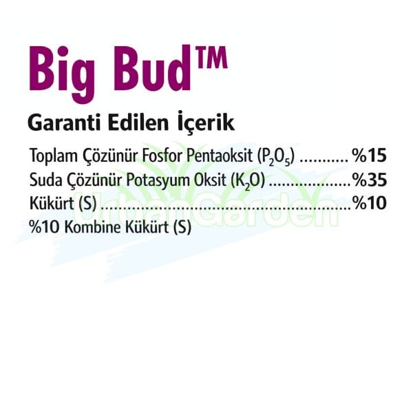 Advanced Nutrients Big Bud Powder 10 KG