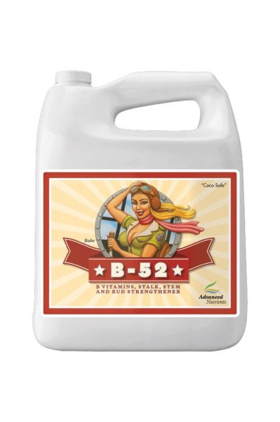 Advanced Nutrients B-52 250 ml