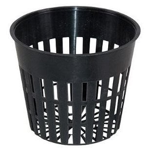 Terra Aquatica Delikli Sepet Saksı 8cm